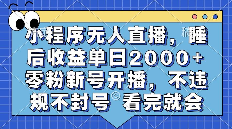 （13251期）小程序无人直播，睡后收益单日2000+ 零粉新号开播，不违规不封号 看完就会-云商网创