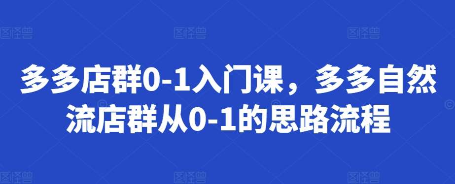 多多店群0-1入门课，多多自然流店群从0-1的思路流程-云商网创
