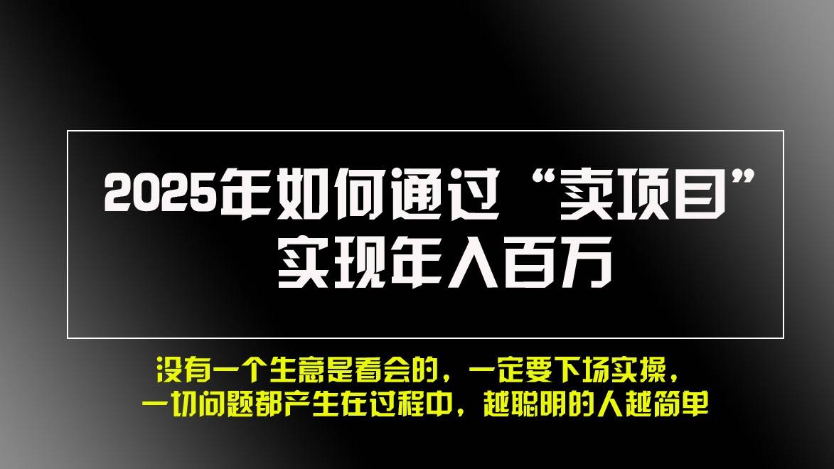 2025年如何通过“卖项目”实现年入百万-云商网创