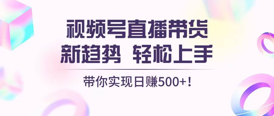 （13370期）视频号直播带货新趋势，轻松上手，带你实现日赚500+-云商网创