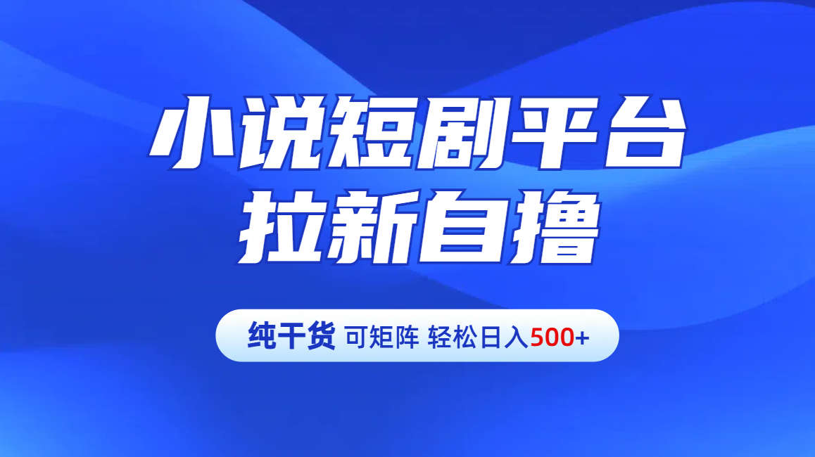 【纯干货】小说短剧平台拉新自撸玩法详解-单人轻松日入500+-云商网创