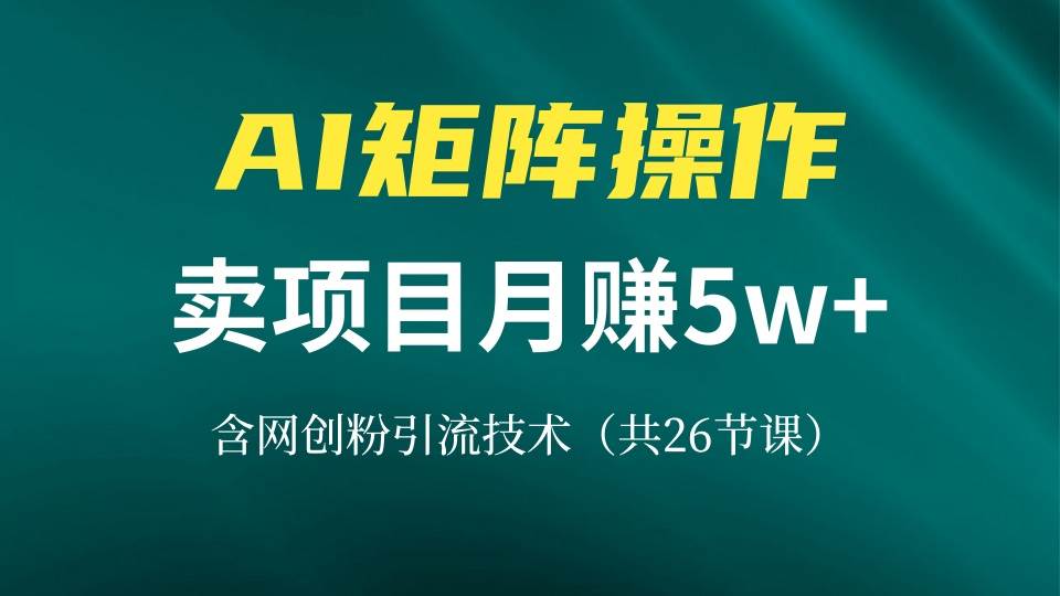（13335期）网创IP打造课，借助AI卖项目月赚5万+，含引流技术（共26节课）-云商网创