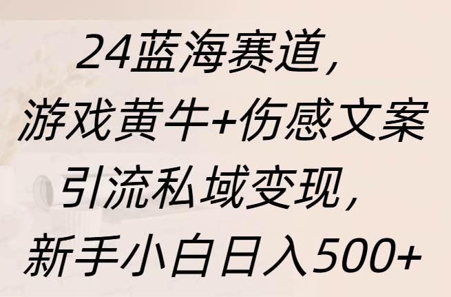 24蓝海赛道，游戏黄牛+伤感文案引流私域变现，新手日入500+-云商网创