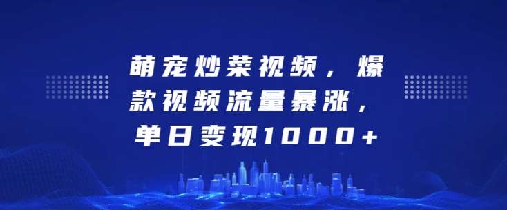 萌宠炒菜视频，爆款视频流量暴涨，单日变现1k-云商网创