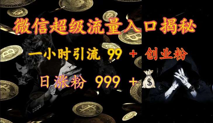 微信超级流量入口揭秘：一小时引流 99 + 创业粉，日涨粉 999 +-云商网创