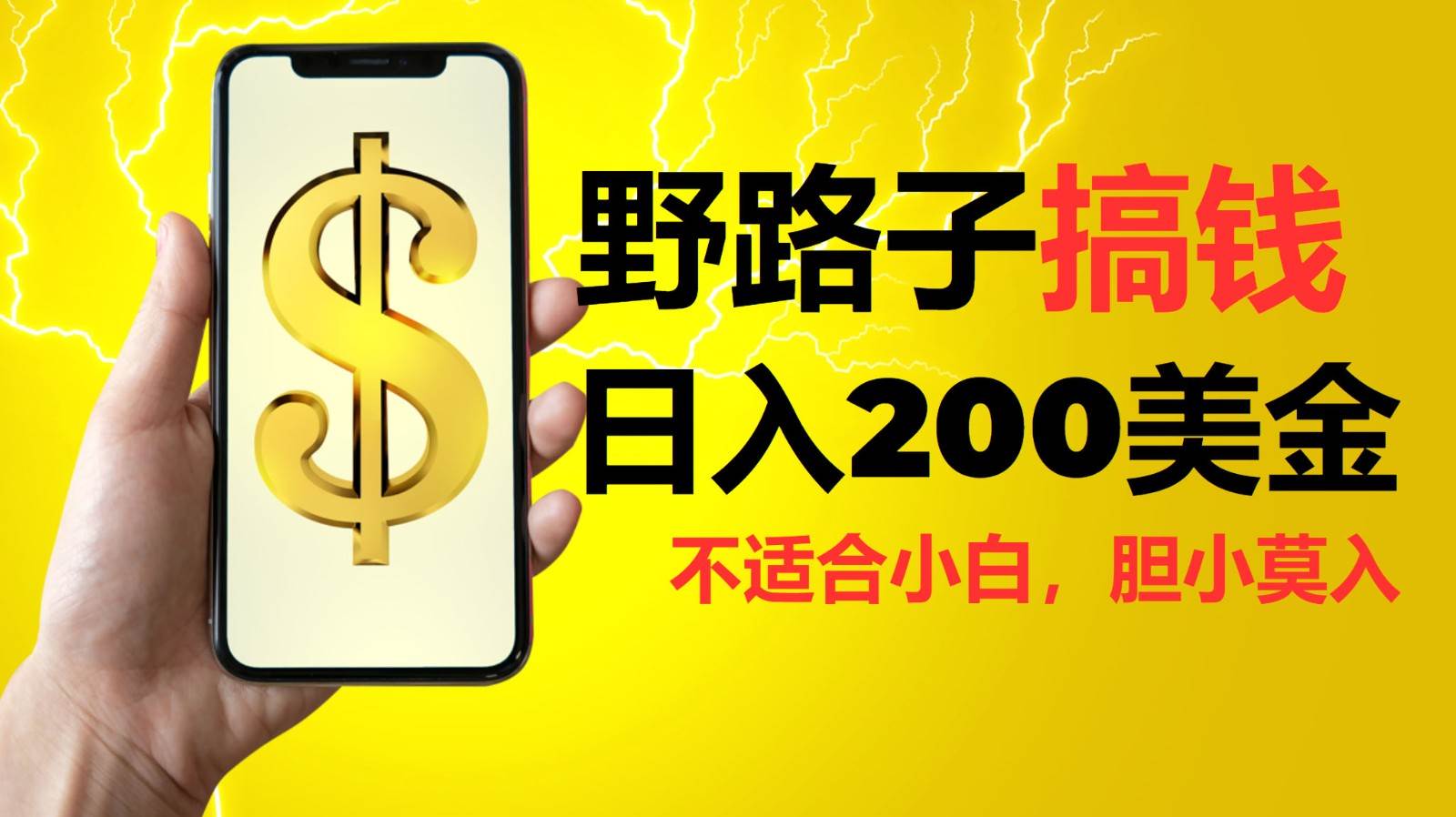 挂机野路子搞钱，日入200美金，路子很野，小白莫入-云商网创
