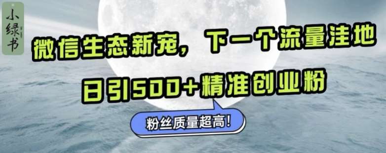 微信生态新宠小绿书：下一个流量洼地，日引500+精准创业粉，粉丝质量超高-云商网创