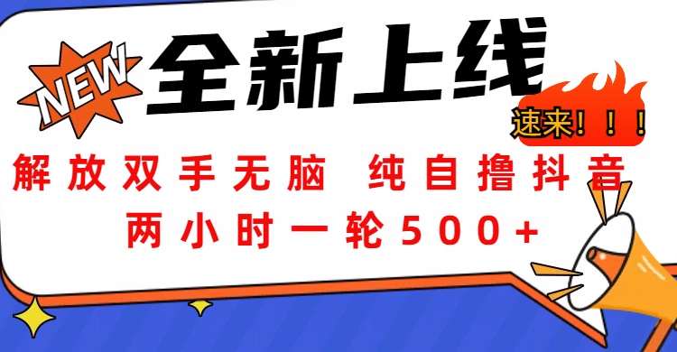 解放双手无脑 纯自撸抖音 两小时一轮500+-云商网创