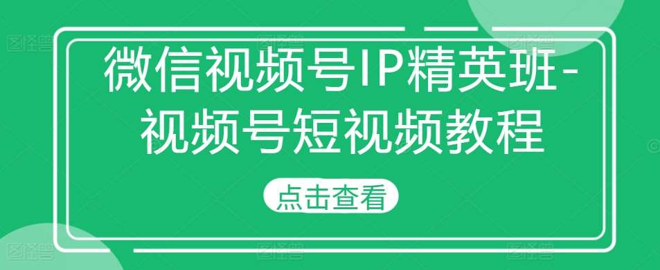 微信视频号IP精英班-视频号短视频教程-云商网创