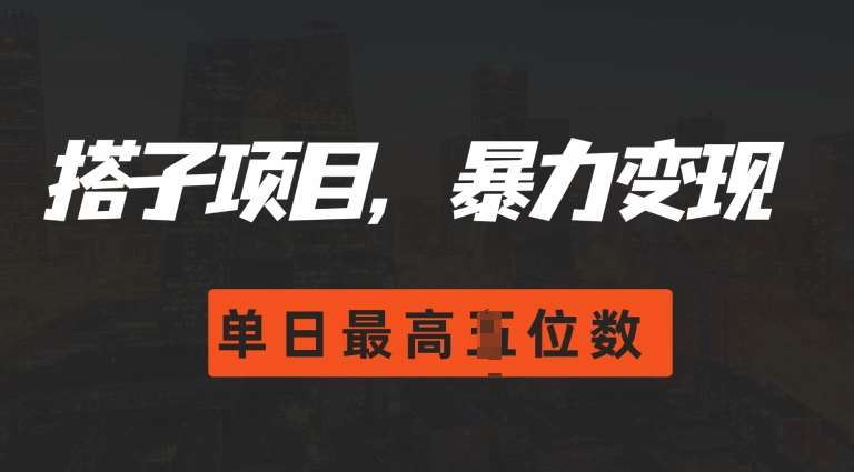 2024搭子玩法，0门槛，暴力变现，单日最高破四位数【揭秘】-云商网创