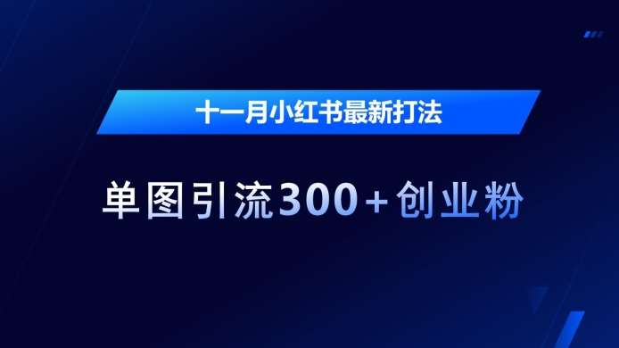 十一月小红书最新打法，单图引流300+创业粉【揭秘】-云商网创