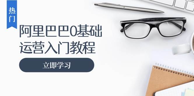 （13291期）阿里巴巴运营零基础入门教程：涵盖开店、运营、推广，快速成为电商高手-云商网创