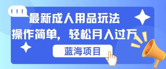 最新成人用品项目玩法，操作简单，动动手，轻松日入几张【揭秘】-云商网创