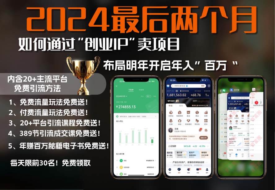 （13322期）2024最后两个月如何通过”创业IP“卖项目年入”百万“,创业IP+最强引流…-云商网创