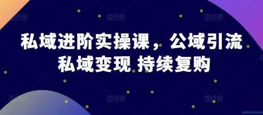 私域进阶实操课，公域引流 私域变现 持续复购-云商网创