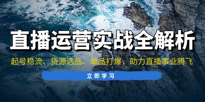 （13294期）直播运营实战全解析：起号稳流、货源选品、单品打爆，助力直播事业腾飞-云商网创