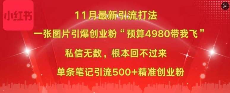 小红书11月最新图片打粉，一张图片引爆创业粉，“预算4980带我飞”，单条引流500+精准创业粉-云商网创
