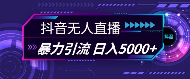 抖音快手视频号全平台通用无人直播引流法，利用图片模板和语音话术，暴力日引流100+创业粉【揭秘】-云商网创