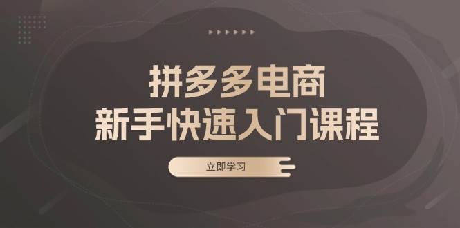 （13289期）拼多多电商新手快速入门课程：涵盖基础、实战与选款，助力小白轻松上手-云商网创