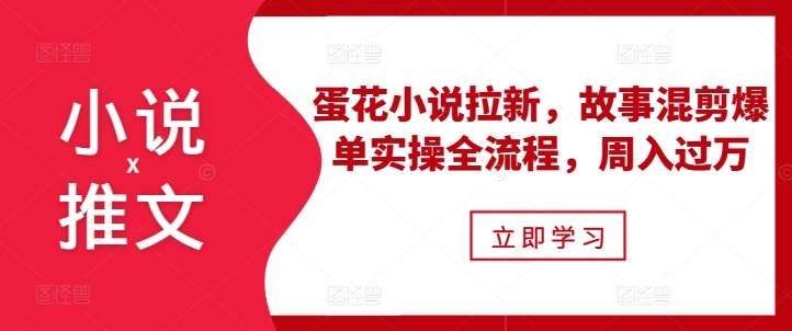 小说推文之蛋花小说拉新，故事混剪爆单实操全流程，周入过万-云商网创