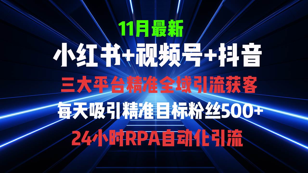 （13259期）全域多平台引流私域打法，小红书，视频号，抖音全自动获客，截流自…-云商网创