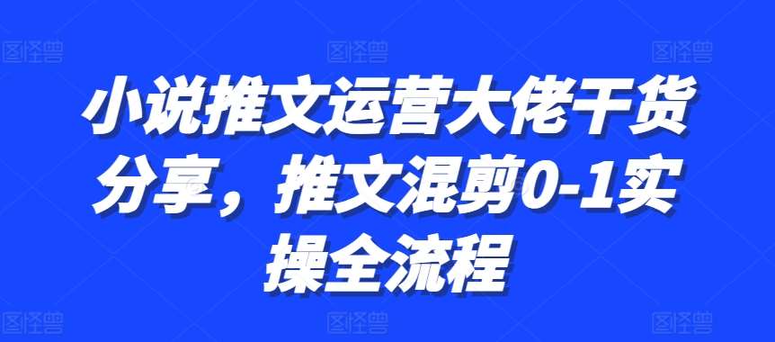 小说推文运营大佬干货分享，推文混剪0-1实操全流程-云商网创