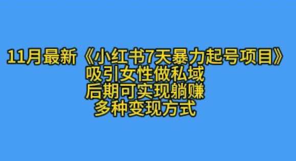 K总部落11月最新小红书7天暴力起号项目，吸引女性做私域【揭秘】-云商网创