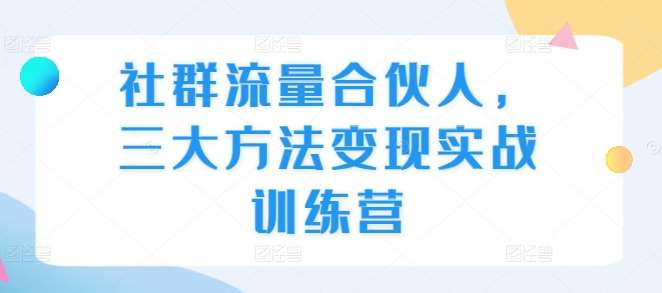 社群流量合伙人，三大方法变现实战训练营-云商网创