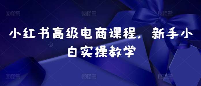 小红书高级电商课程，新手小白实操教学-云商网创