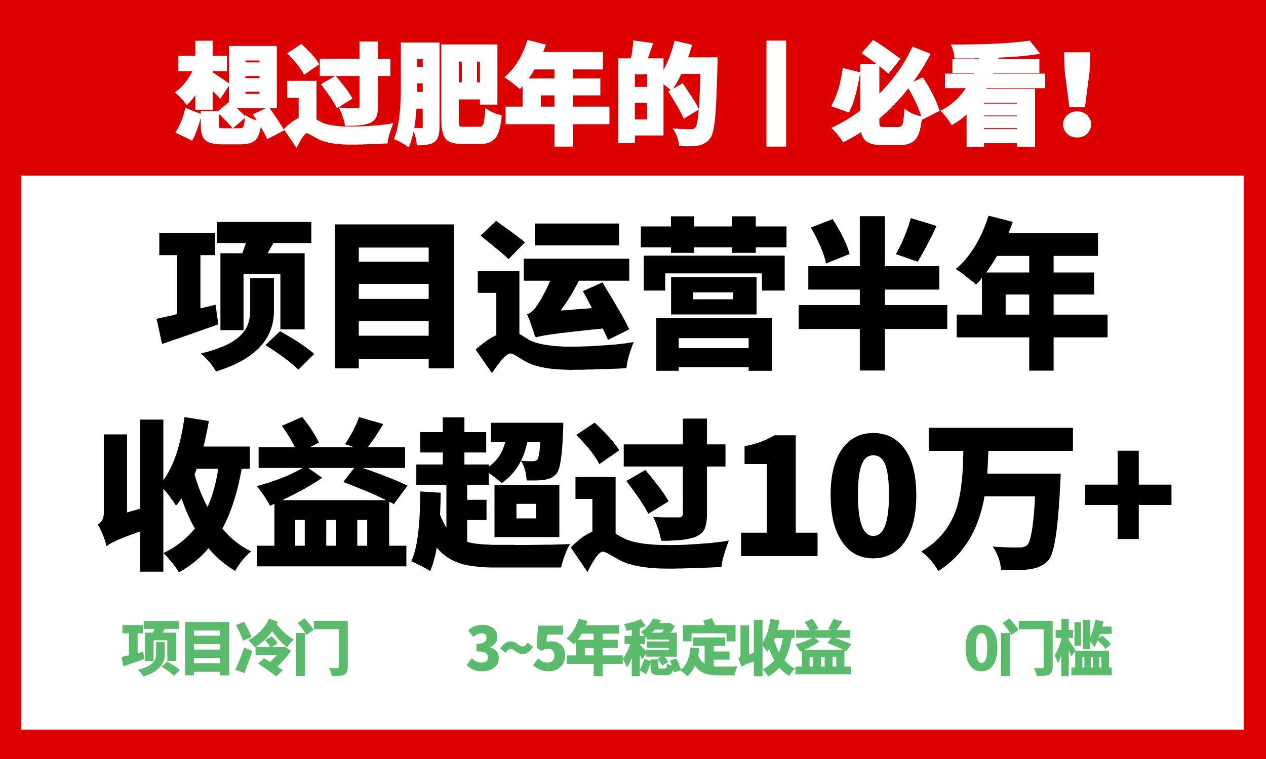 （13663期）年前过肥年的必看的超冷门项目，半年收益超过10万+，-云商网创