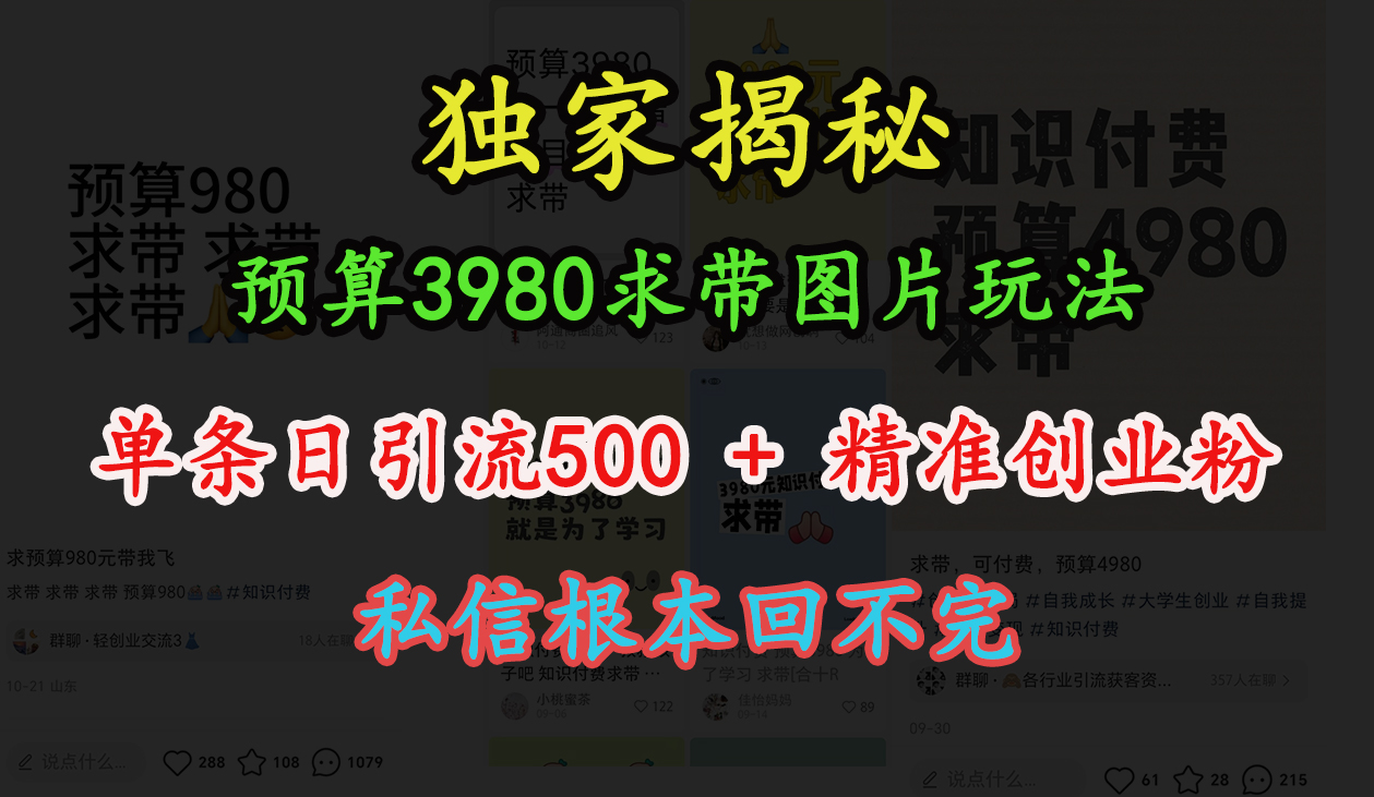 “小红书”预算3980求带 图片玩法，单条日引流500+精准创业粉，私信根本回不完-云商网创