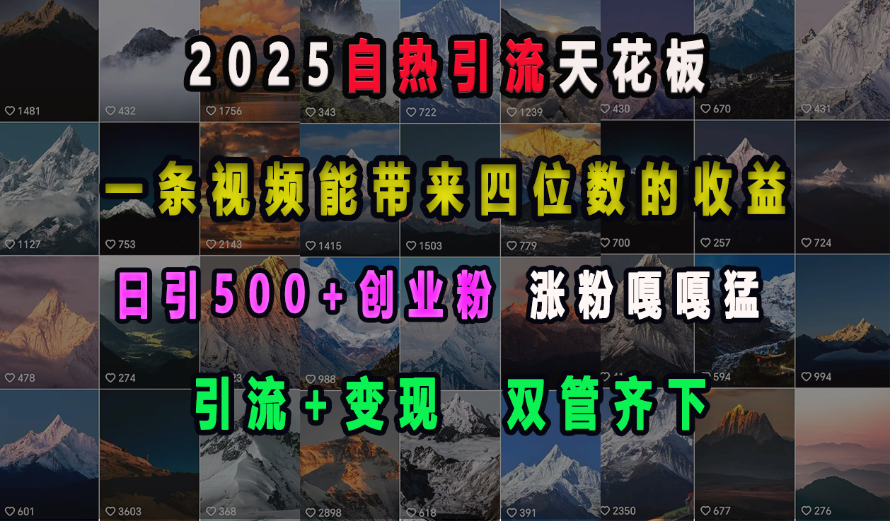 2025自热引流天花板，一条视频能带来四位数的收益，引流+变现双管齐下，日引500+创业粉，涨粉嘎嘎猛-云商网创