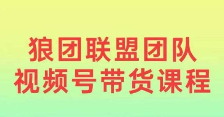 狼团联盟2024视频号带货，0基础小白快速入局视频号-云商网创