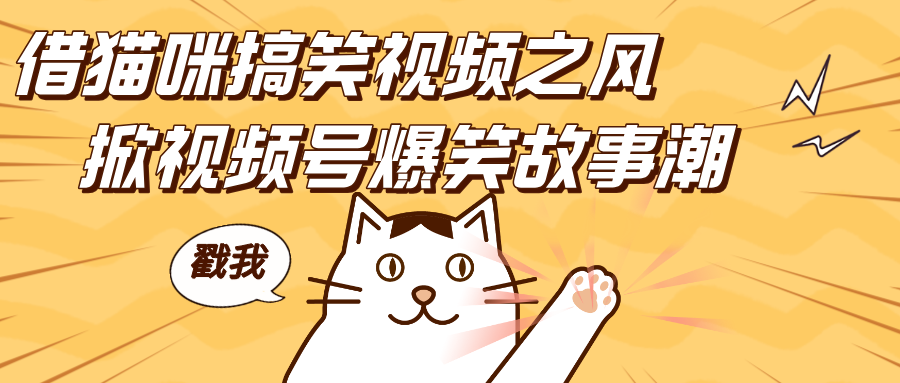 借猫咪搞笑视频之风，掀视频号爆笑故事潮，轻松日赚四位数，开启无门槛赚钱新体验！-云商网创