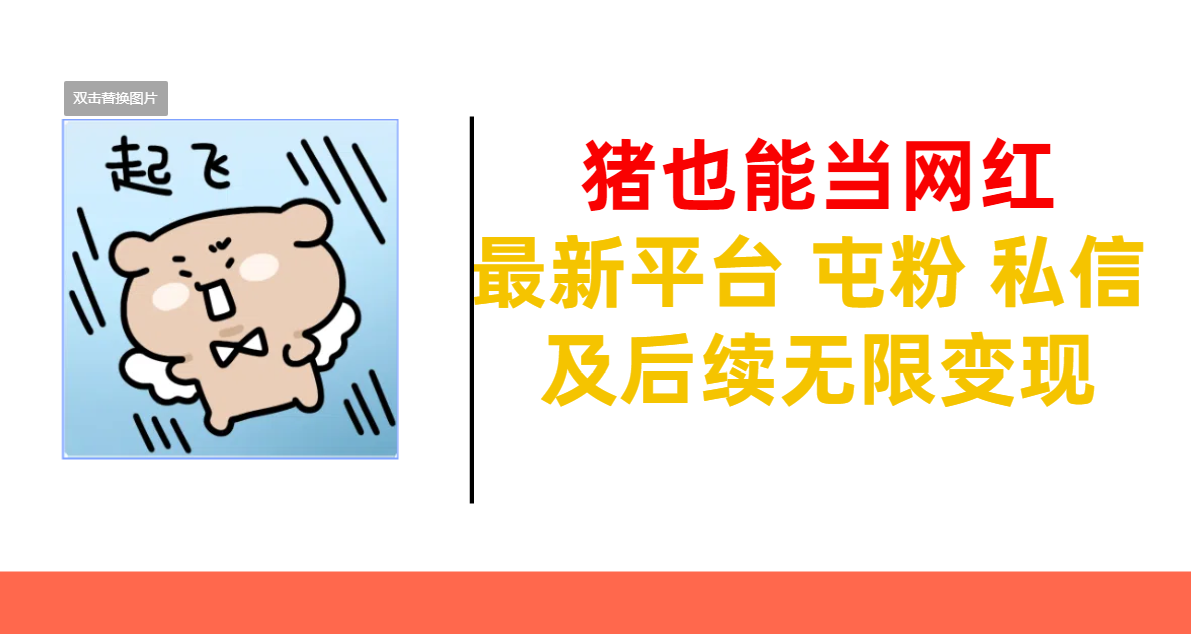 猪也能当网红-最新平台 屯粉 交流 私信 及后续无限变现-云商网创