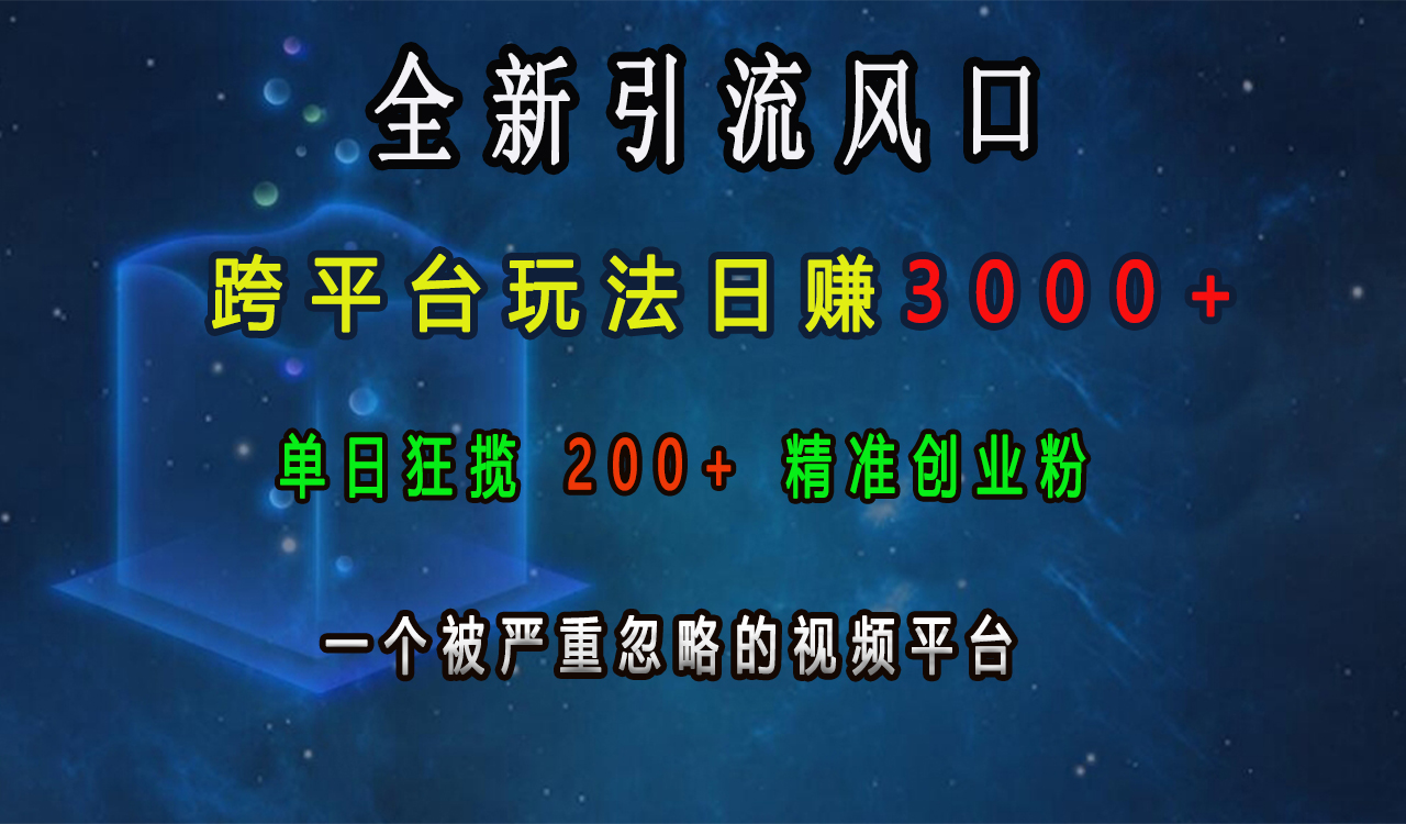 全新引流风口，跨平台玩法日赚3000+，单日狂揽200+精准创业粉，一个被严重忽略的视频平台-云商网创