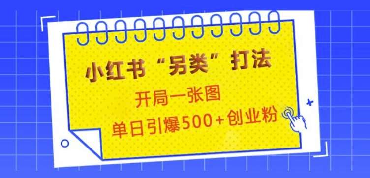 小红书“另类”打法，开局一张图，单日引爆500+精准创业粉【揭秘】-云商网创