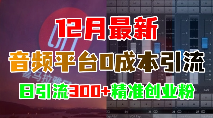12月最新：音频平台0成本引流，日引300+精准创业粉-云商网创