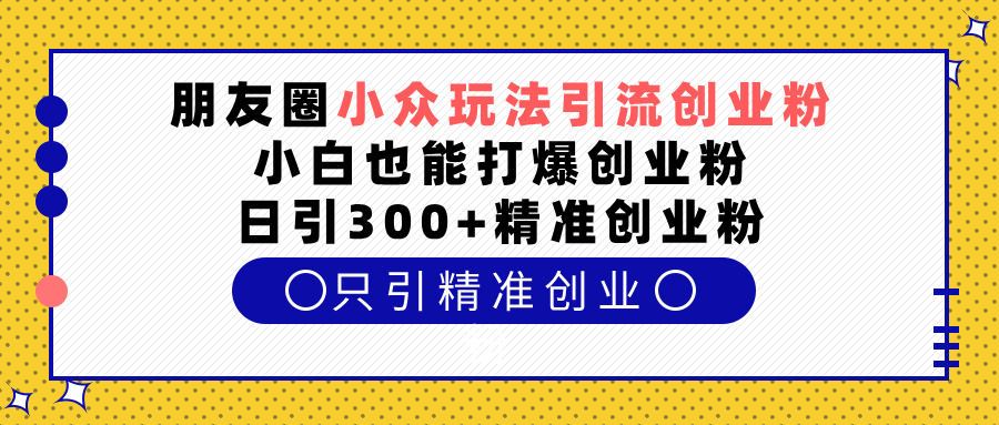 朋友圈小众玩法引流创业粉，小白也能打爆创业粉，日引300+精准创业粉-云商网创