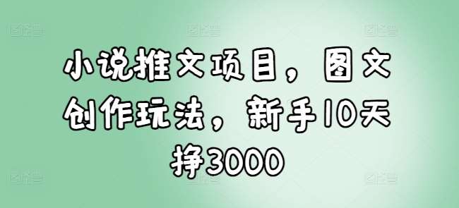 小说推文项目，图文创作玩法，新手10天挣3000-云商网创