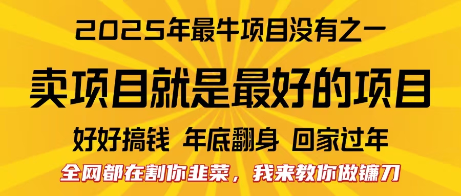 全网都在割你韭菜，我来教你做镰刀。卖项目就是最好的项目，2025年最牛互联网项目-云商网创