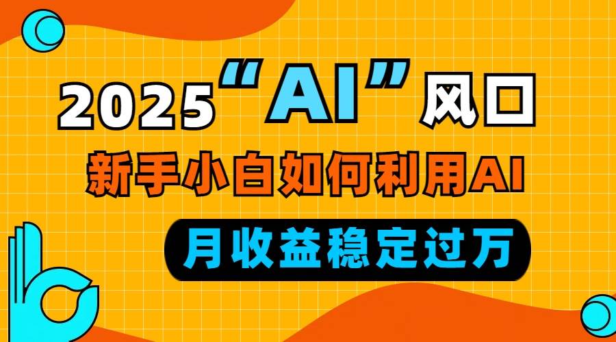 （13821期）2025“ AI ”风口，新手小白如何利用ai，每月收益稳定过万-云商网创