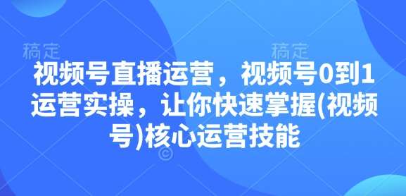 视频号直播运营，视频号0到1运营实操，让你快速掌握(视频号)核心运营技能-云商网创