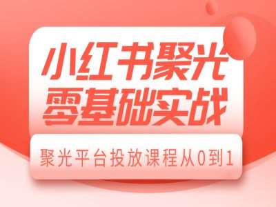 小红书聚光零基础实战，聚光平台投放课程从0到1-云商网创
