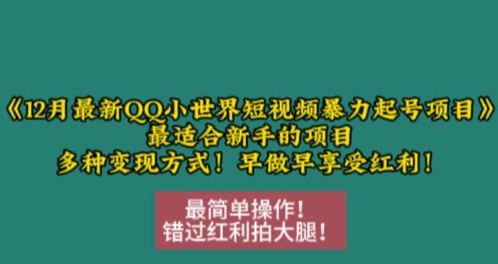 12月最新QQ小世界短视频暴力起号项目，最适合新手的项目，多种变现方式-云商网创