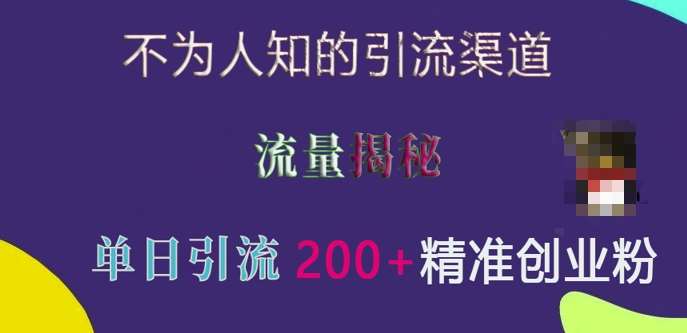 不为人知的引流渠道，流量揭秘，实测单日引流200+精准创业粉【揭秘】-云商网创