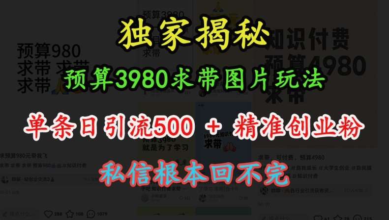 预算3980求带 图片玩法，单条日引流500+精准创业粉，私信根本回不完-云商网创