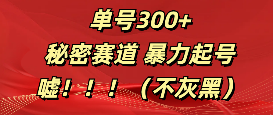 单号300+  秘密赛道 暴力起号  （不灰黑）-云商网创