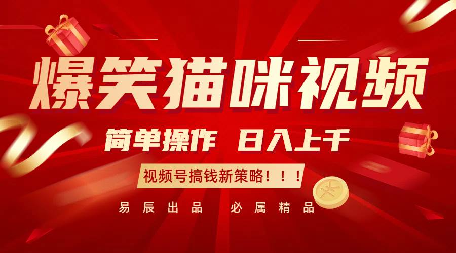爆笑猫咪视频：简单操作，日入过千，视频号搞钱新策略！-云商网创