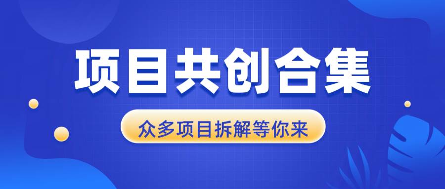 （13778期）项目共创合集，从0-1全过程拆解，让你迅速找到适合自已的项目-云商网创